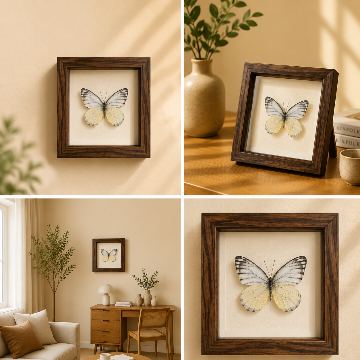 Appias lyncida Handmade Butterfly Specimen Frame Nordic Minimalist Home Decor