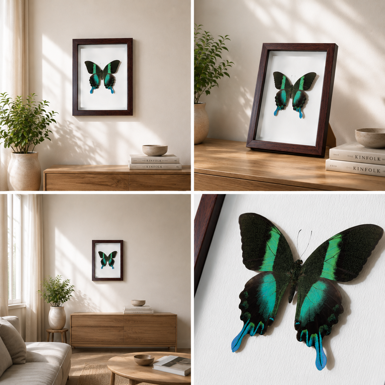 Papilio blumei Handmade Butterfly Specimen Frame Nordic Minimalist Home Decor