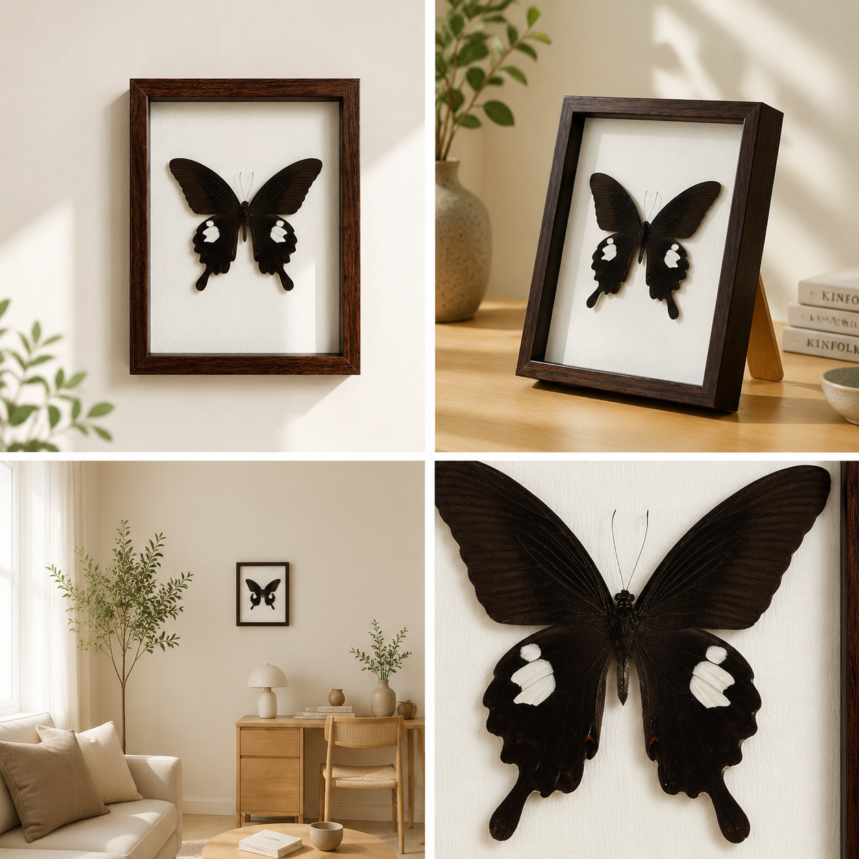 Papilio helenus Handmade Butterfly Specimen Frame Nordic Minimalist Home Decor