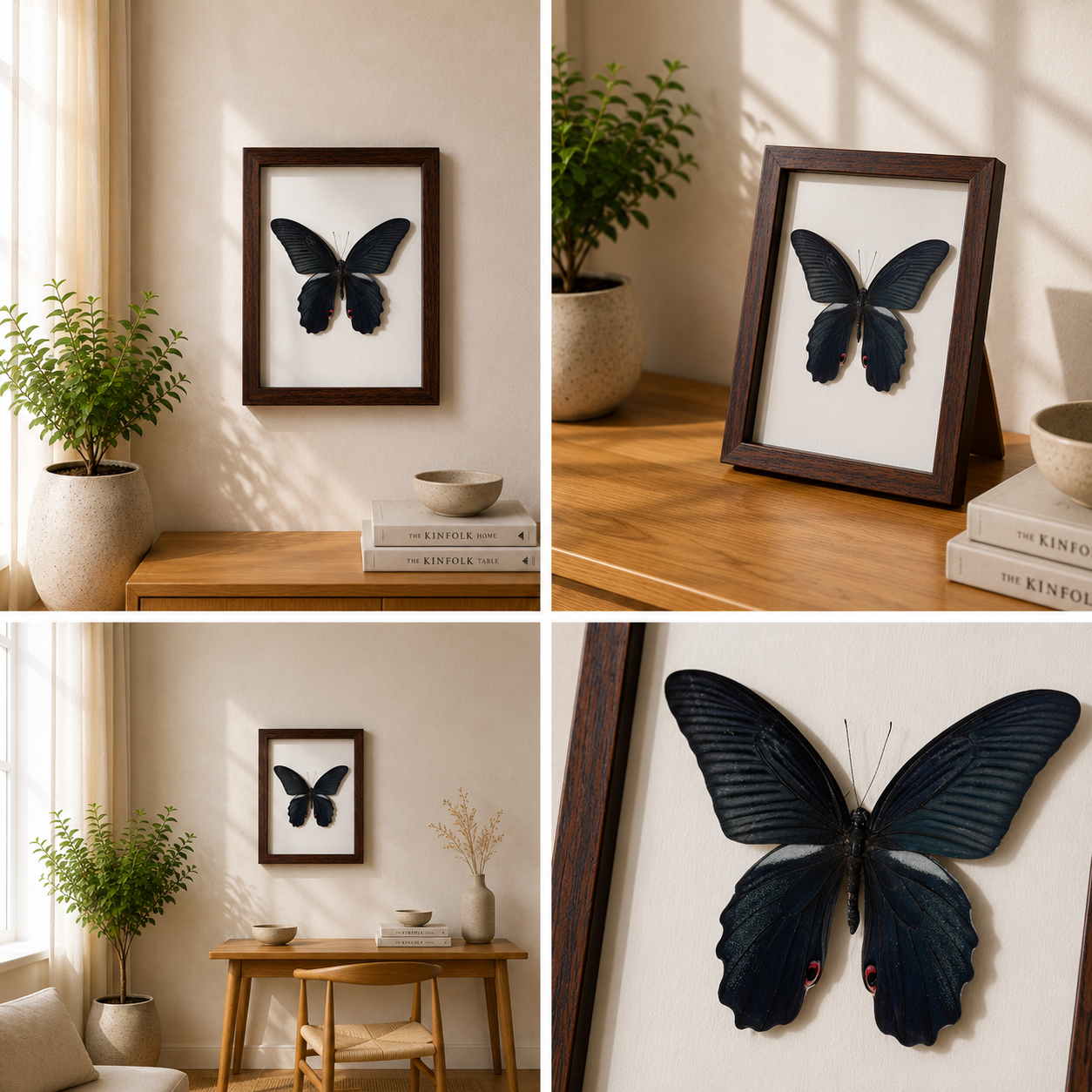 Papilio protenor Handmade Butterfly Specimen Frame Nordic Minimalist Home Decor