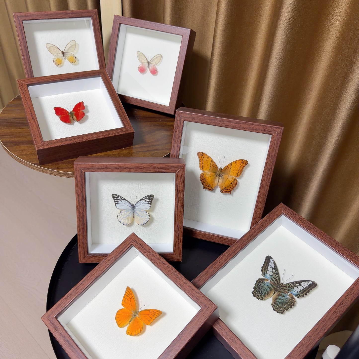 Handmade Butterfly Specimen Wood Frame