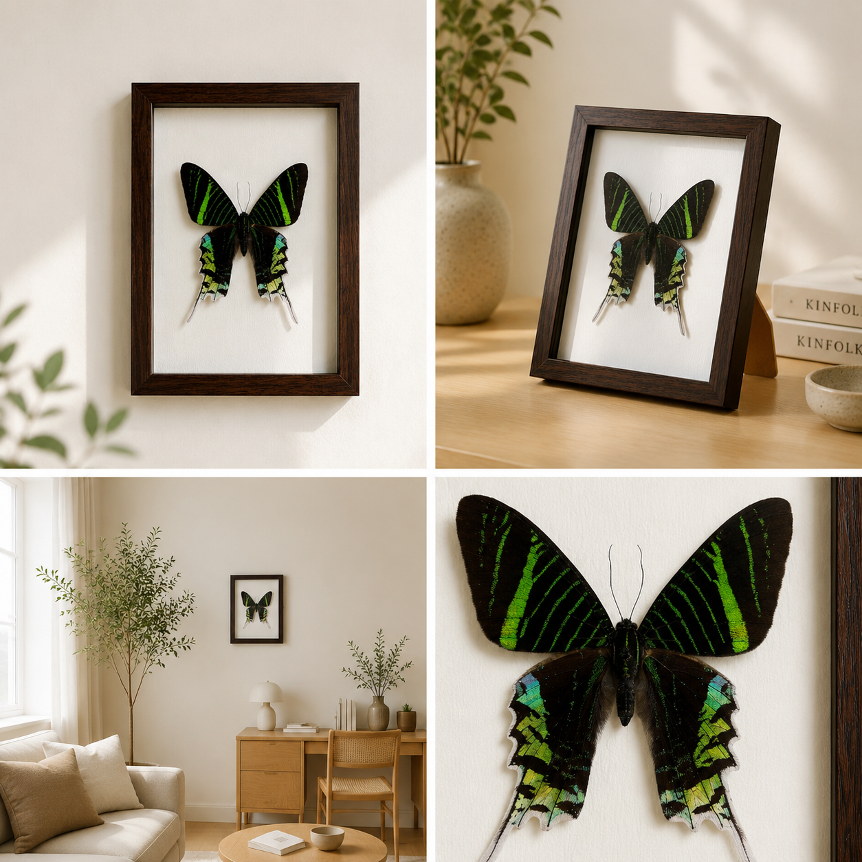 Actias luna Handmade Butterfly Specimen Frame Nordic Minimalist Home Decor