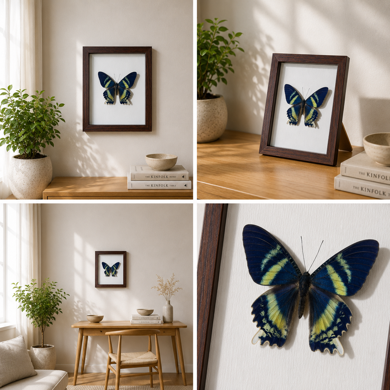 Alcides orontes Handmade Butterfly Specimen Frame Nordic Minimalist Home Decor
