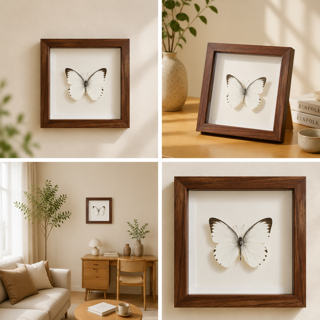 Appias albina Handmade Butterfly Specimen Frame Nordic Minimalist Home Decor