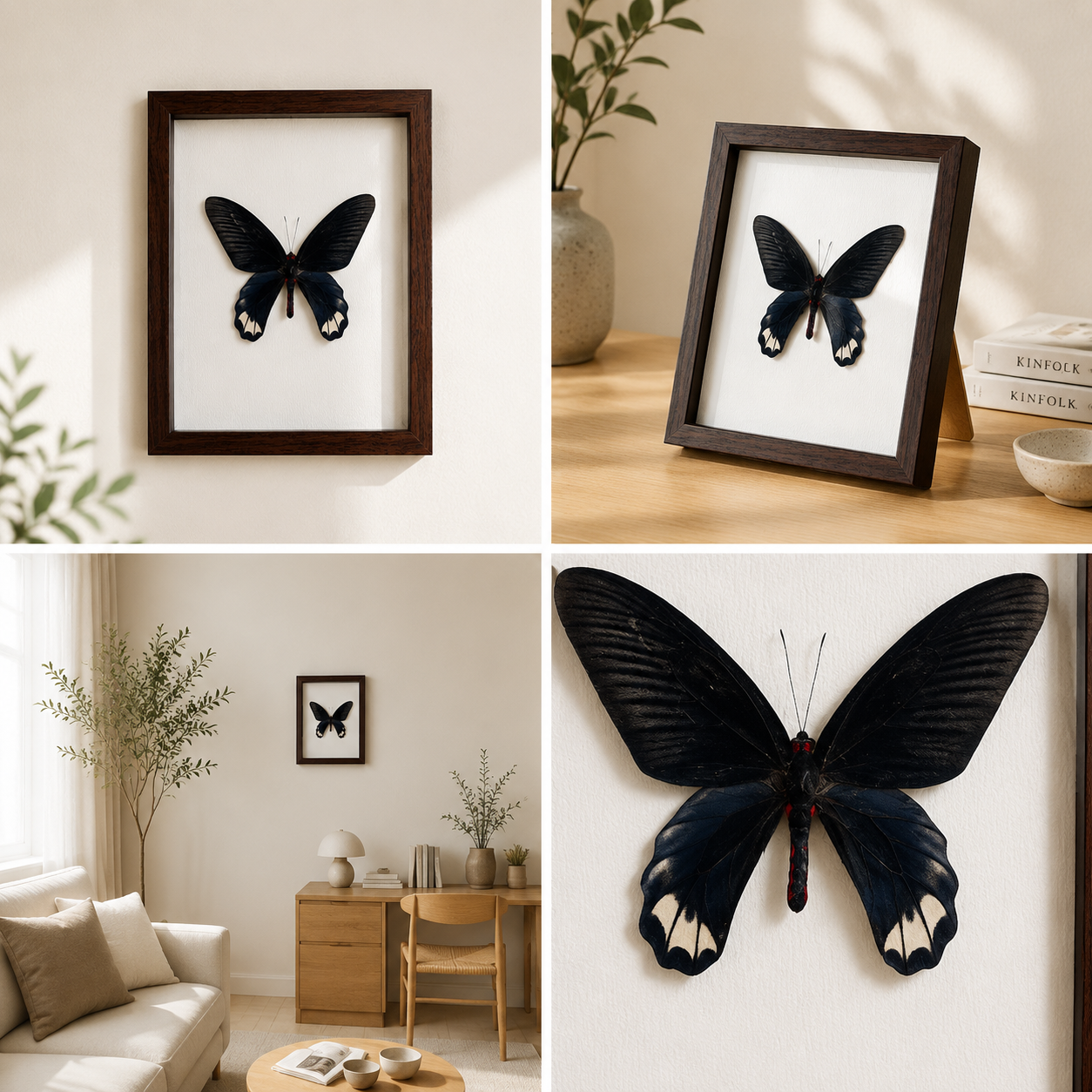 Atrophaneura horishana Handmade Butterfly Specimen Frame Nordic Minimalist Home Decor