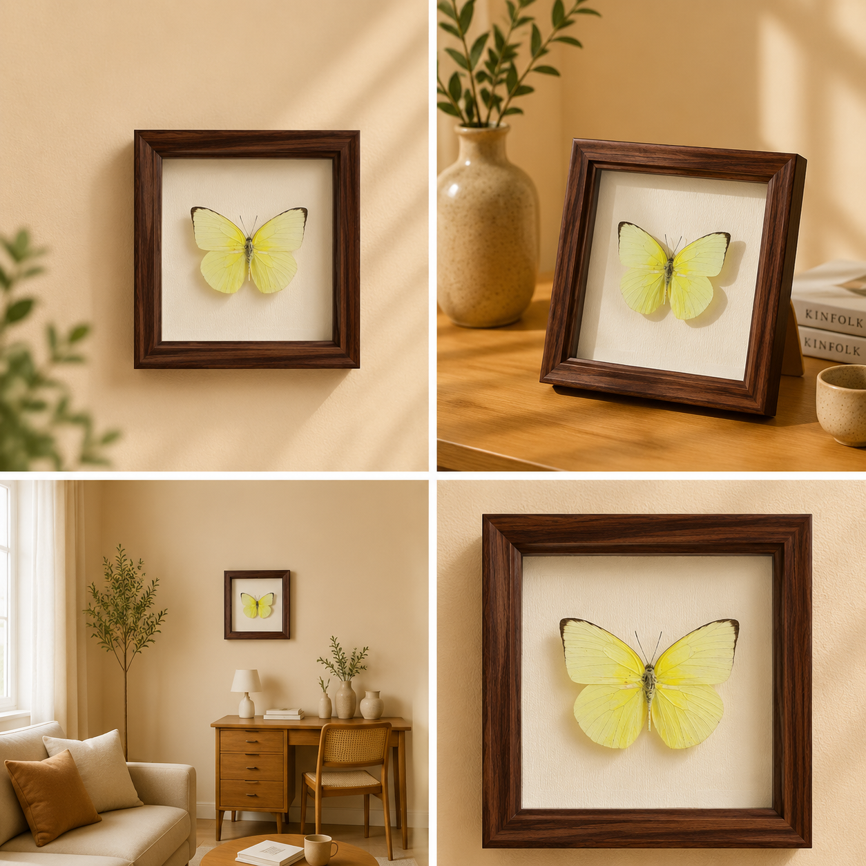  Catopsilia pyranthe Handmade Butterfly Specimen Frame Nordic Minimalist Home Decor