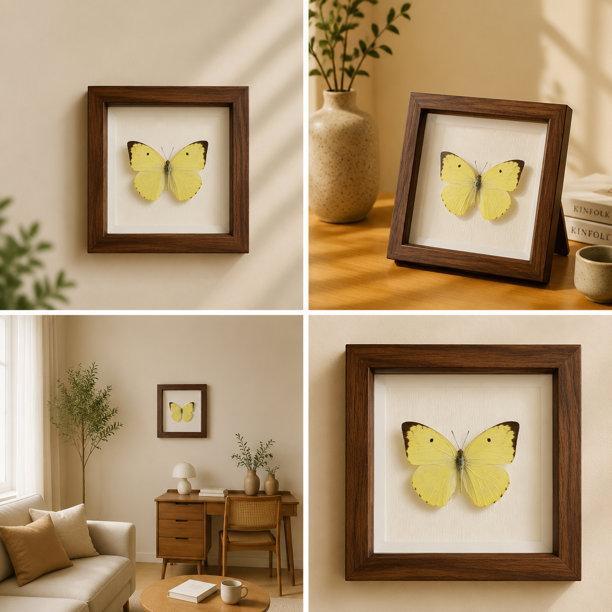 Catopsilia scylla Handmade Butterfly Specimen Frame Nordic Minimalist Home Decor