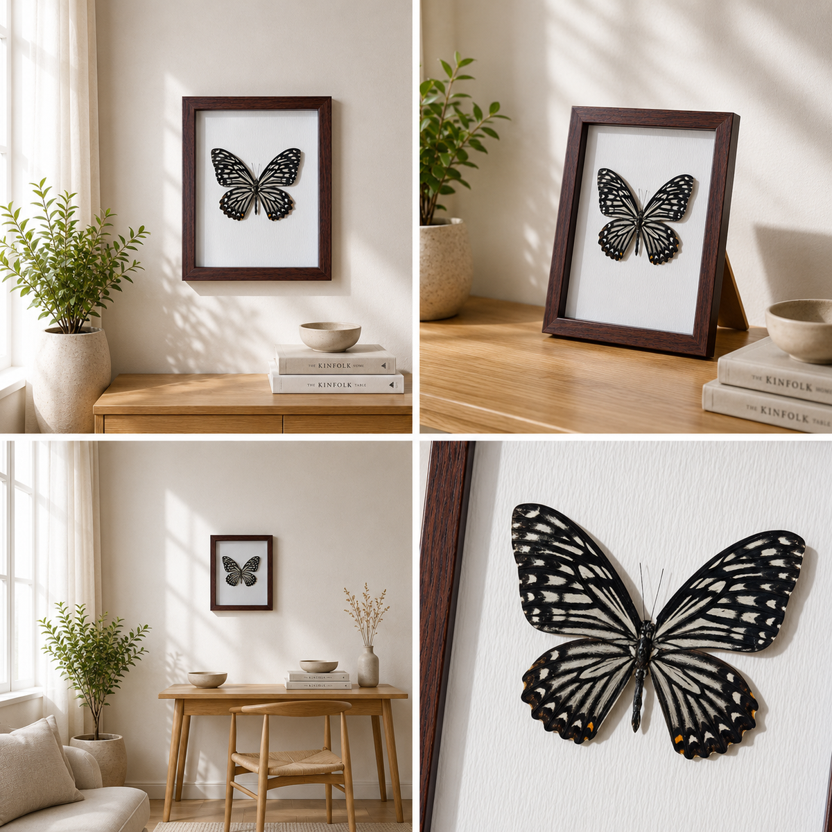 Chilasa clytia Handmade Butterfly Specimen Frame Nordic Minimalist Home Decor