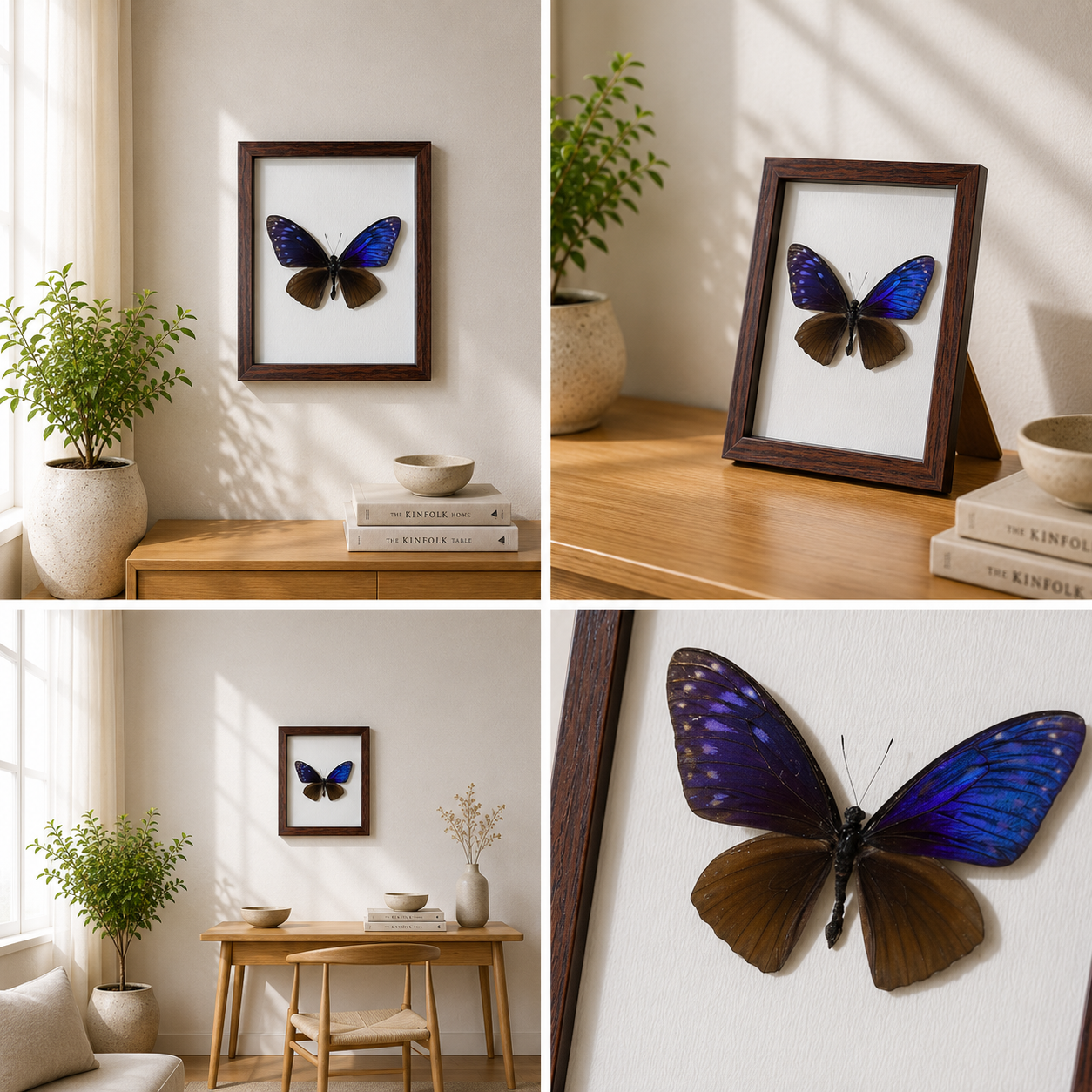 Chilasa paradoxa Handmade Butterfly Specimen Frame Nordic Minimalist Home Decor