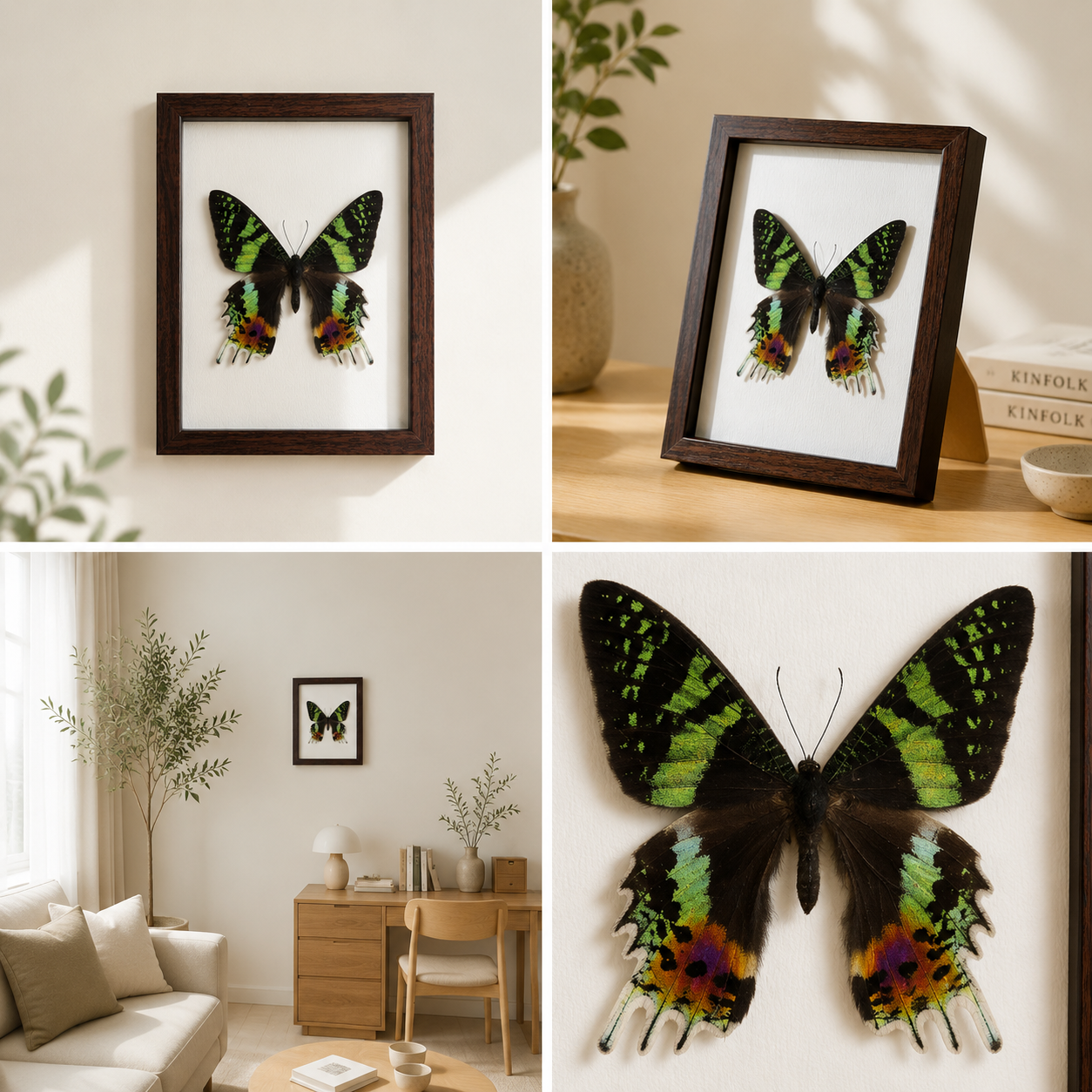 Chrysiridia rhipheus Handmade Butterfly Specimen Frame Nordic Minimalist Home Decor
