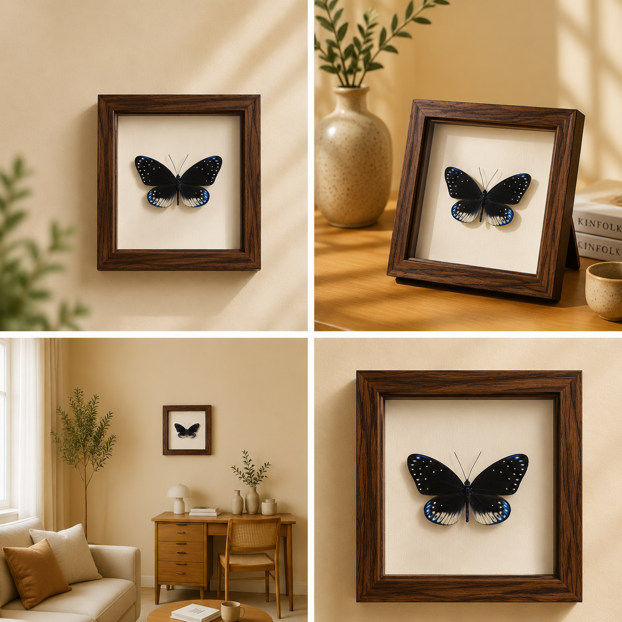 Cyclosia midamia Handmade Butterfly Specimen Frame Nordic Minimalist Home Decor