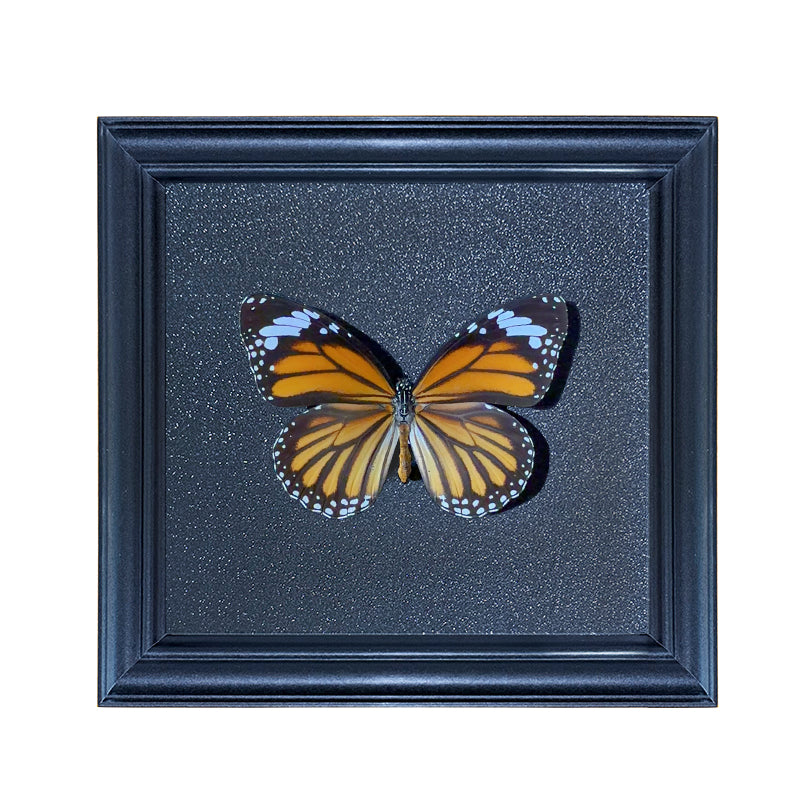 Danaus genutia Handmade Butterfly Specimen Frame