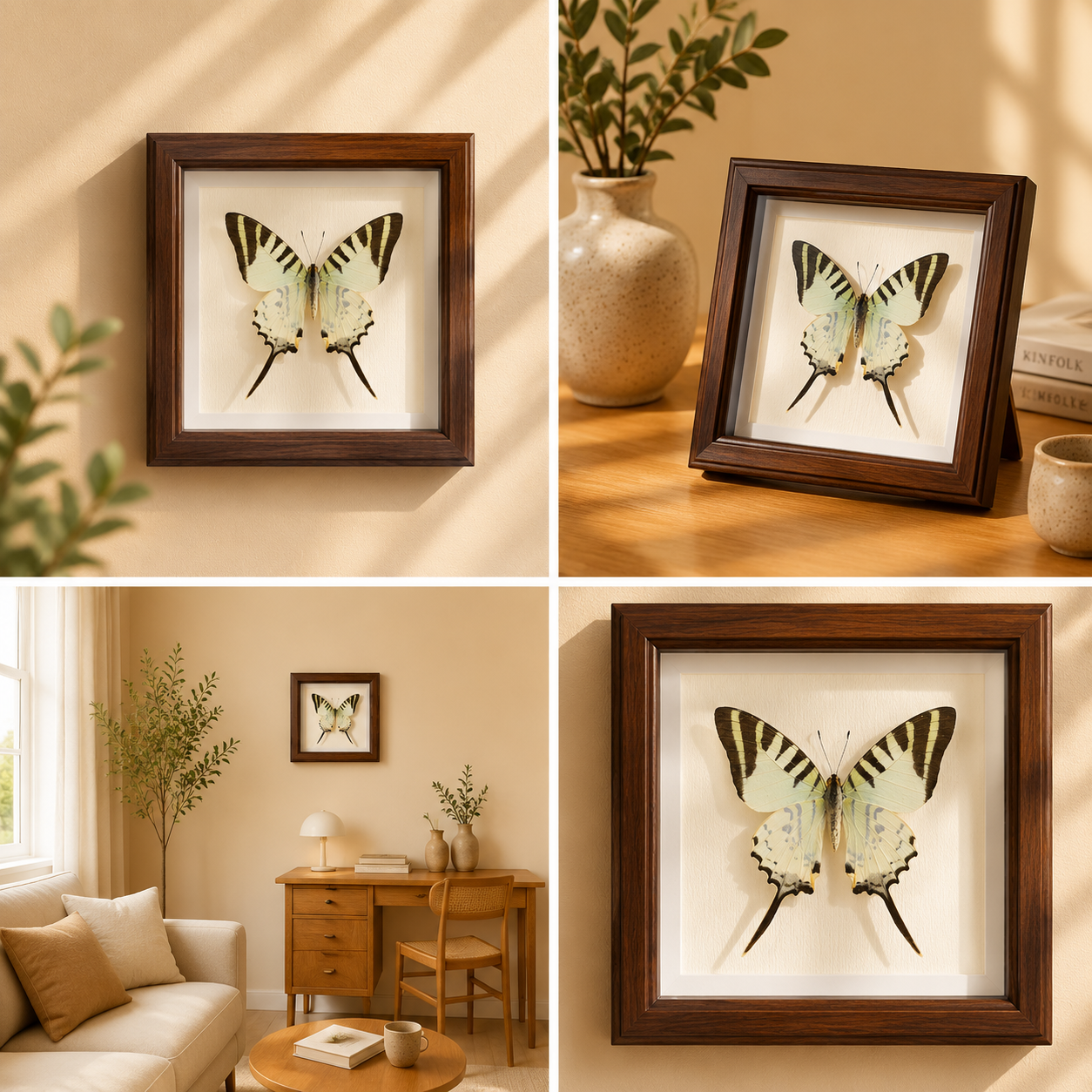 Graphium antiphates Handmade Butterfly Specimen Frame Nordic Minimalist Home Decor