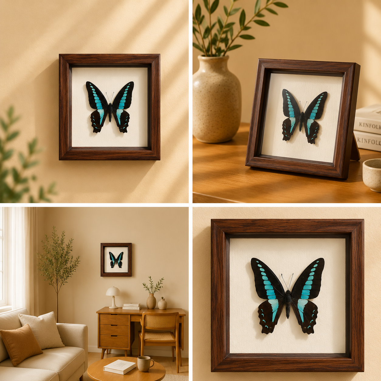 Graphium doson Handmade Butterfly Specimen Frame Nordic Minimalist Home Decor