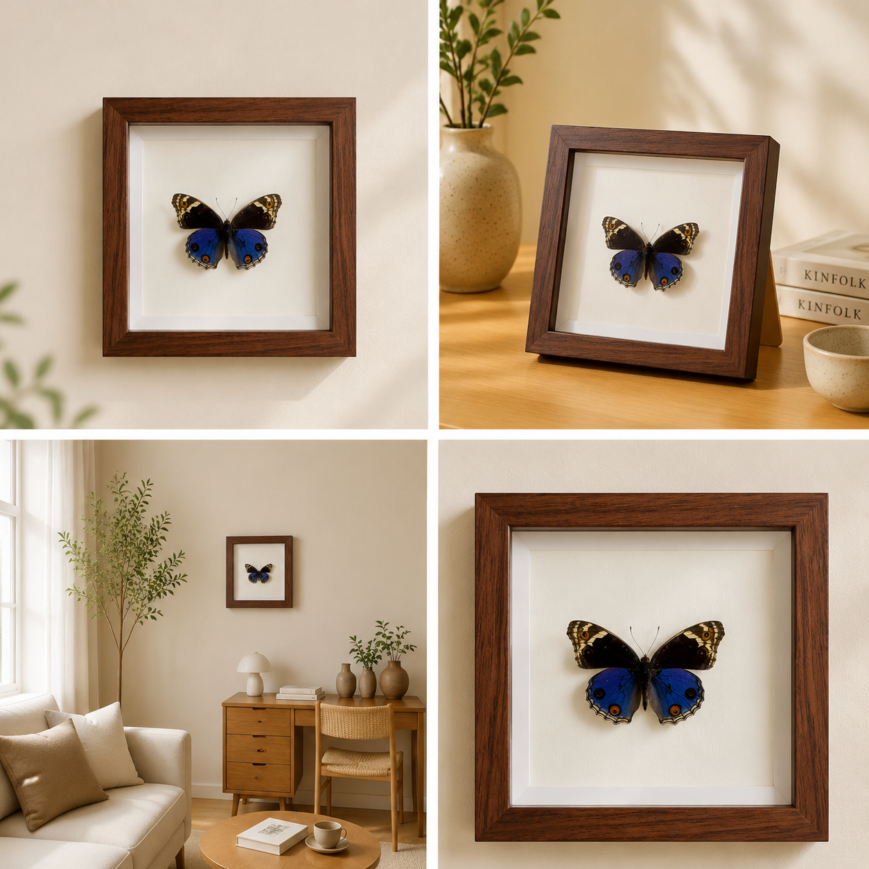 Junonia orithya Handmade Butterfly Specimen Frame Nordic Minimalist Home Decor