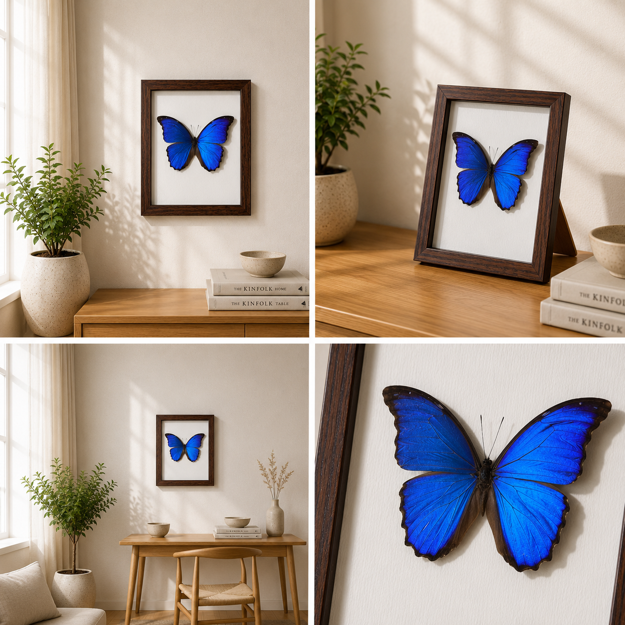Morpho menelaus Handmade Butterfly Specimen Frame Nordic Minimalist Home Decor