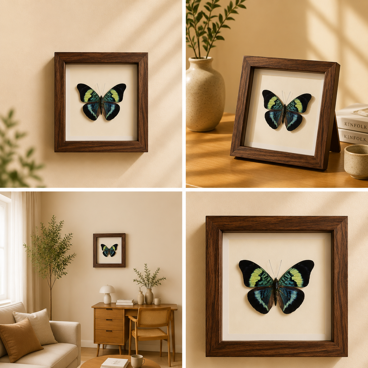 Panacea prola Handmade Butterfly Specimen Frame Nordic Minimalist Home Decor