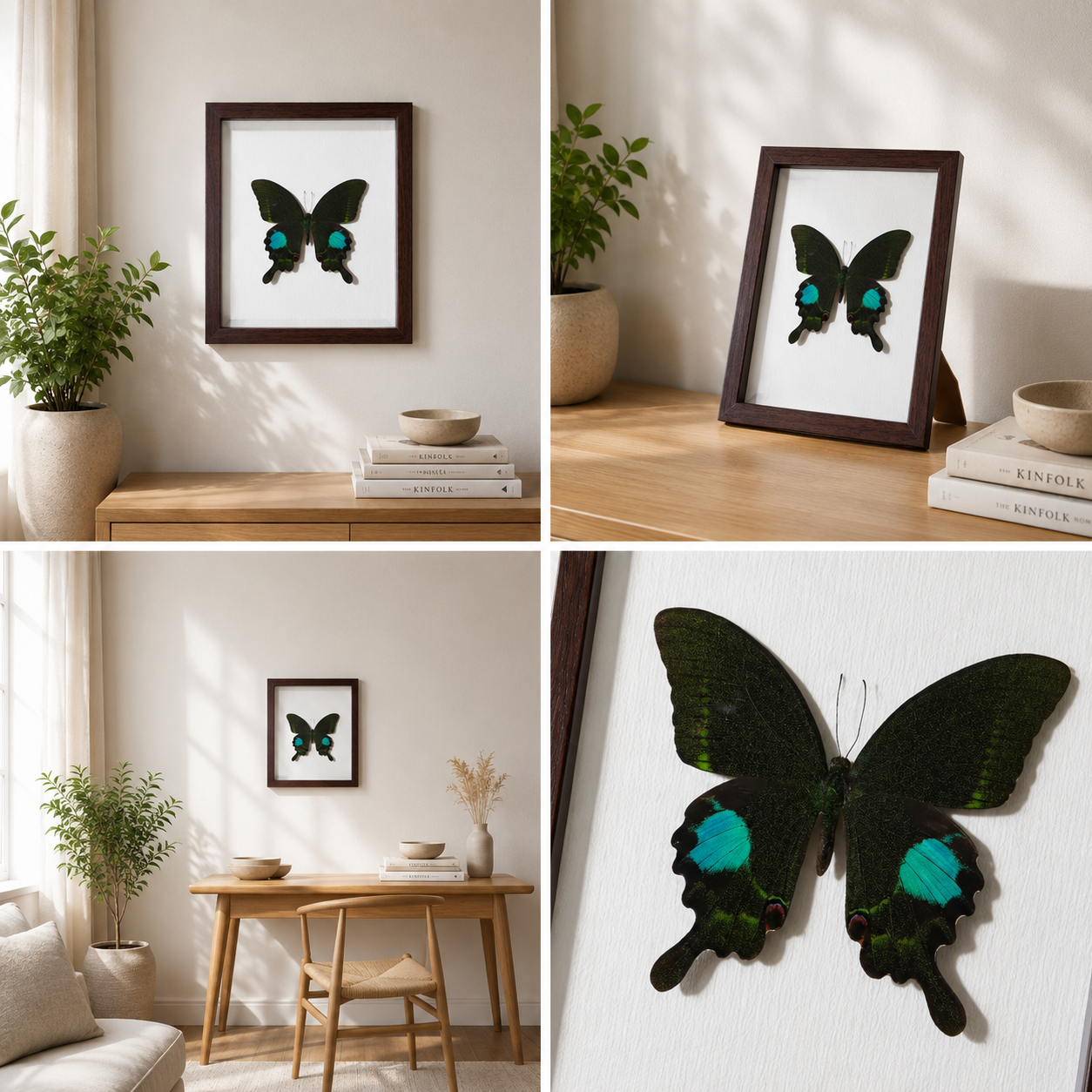 Papilio paris Handmade Butterfly Specimen Frame Nordic Minimalist Home Decor