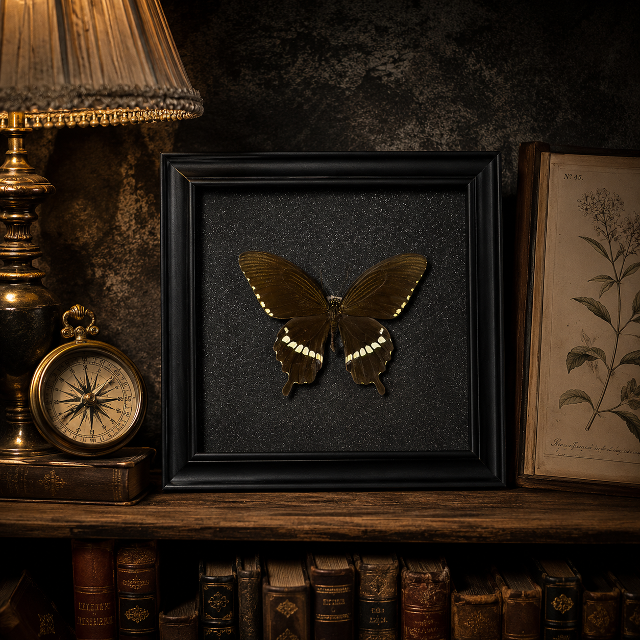 Papilio polytes Handmade Butterfly Specimen Frame Vintage Collection Home Decoration