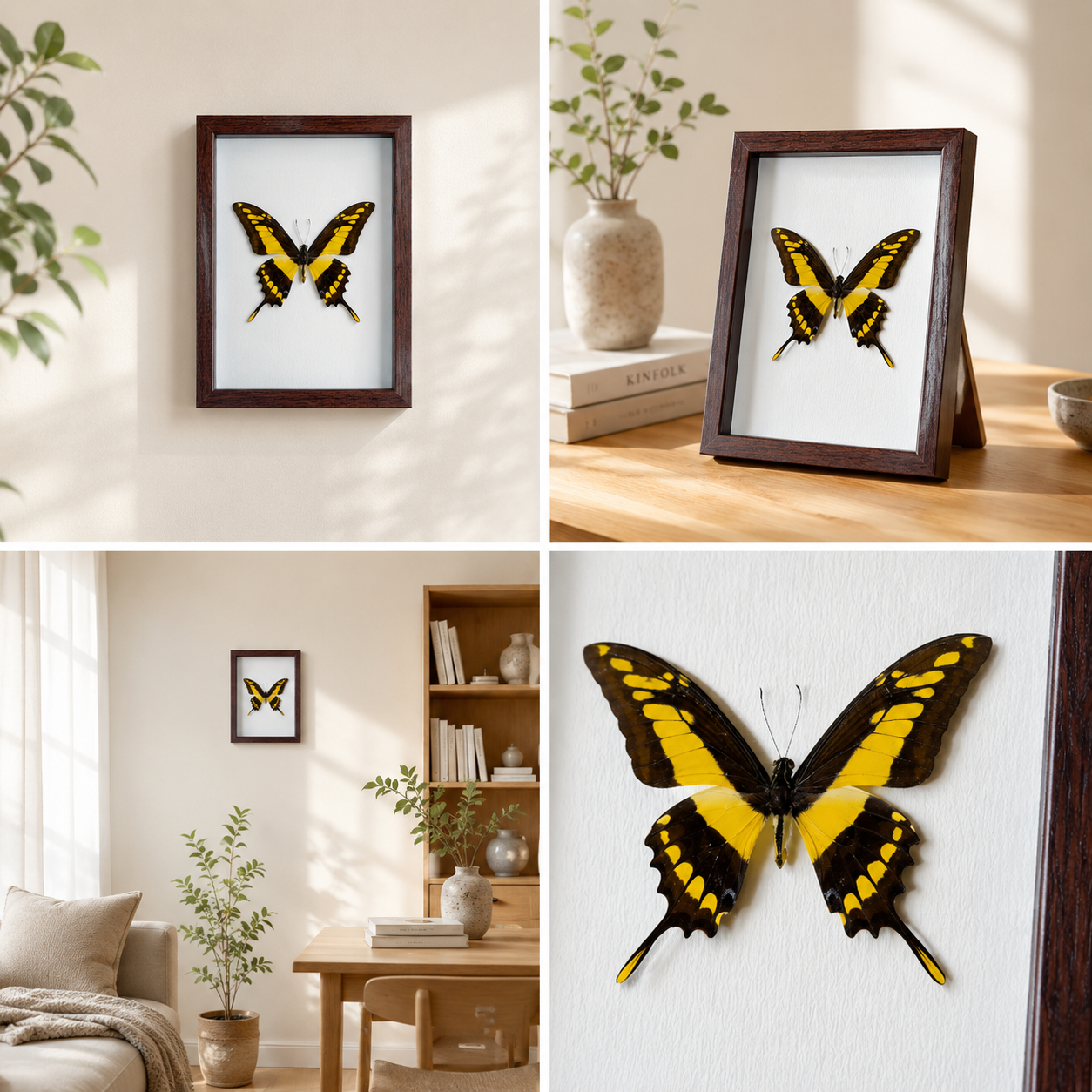 Papilio thoas Handmade Butterfly Specimen Frame Nordic Minimalist Home Decor