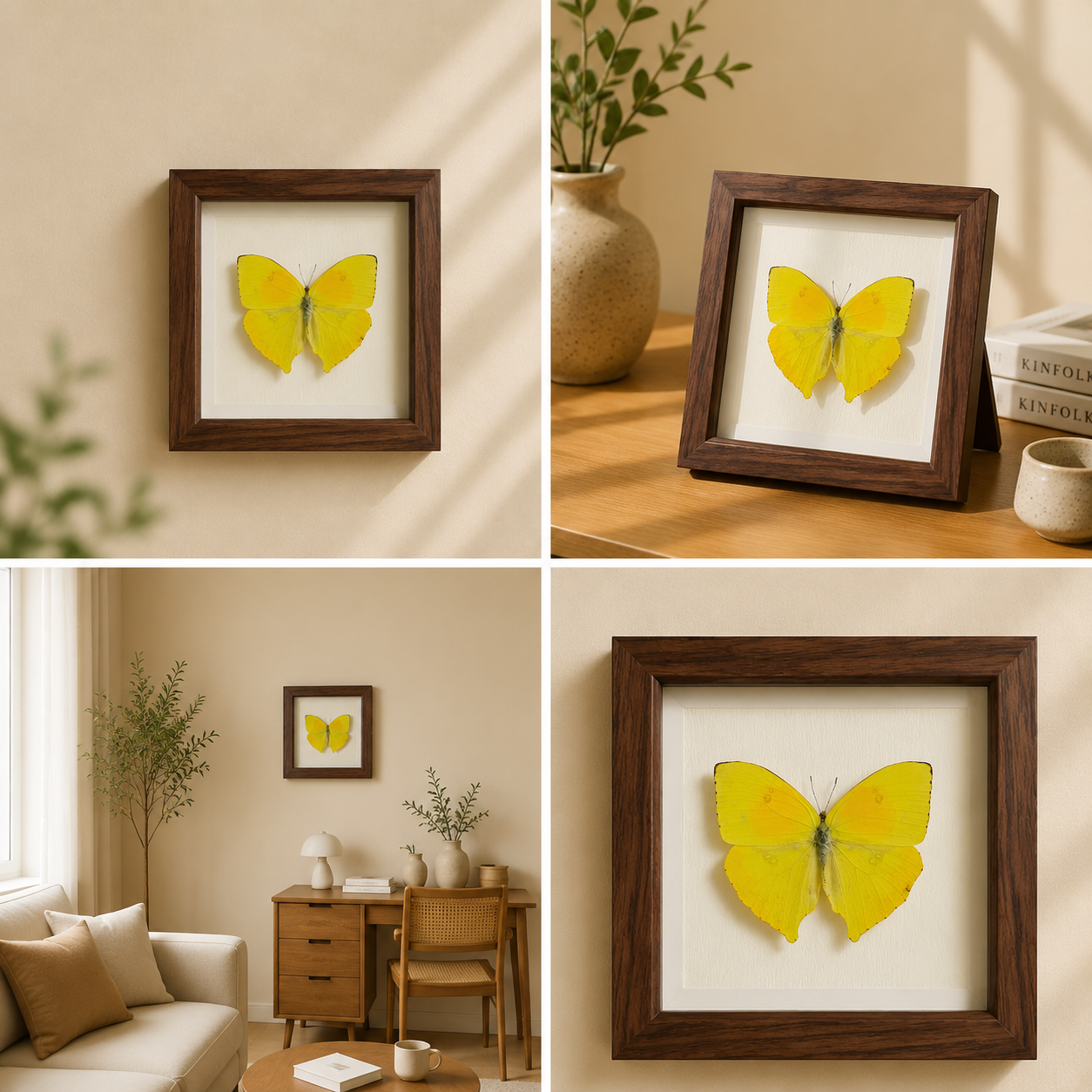 Phoebis philea Handmade Butterfly Specimen Frame Nordic Minimalist Home Decor