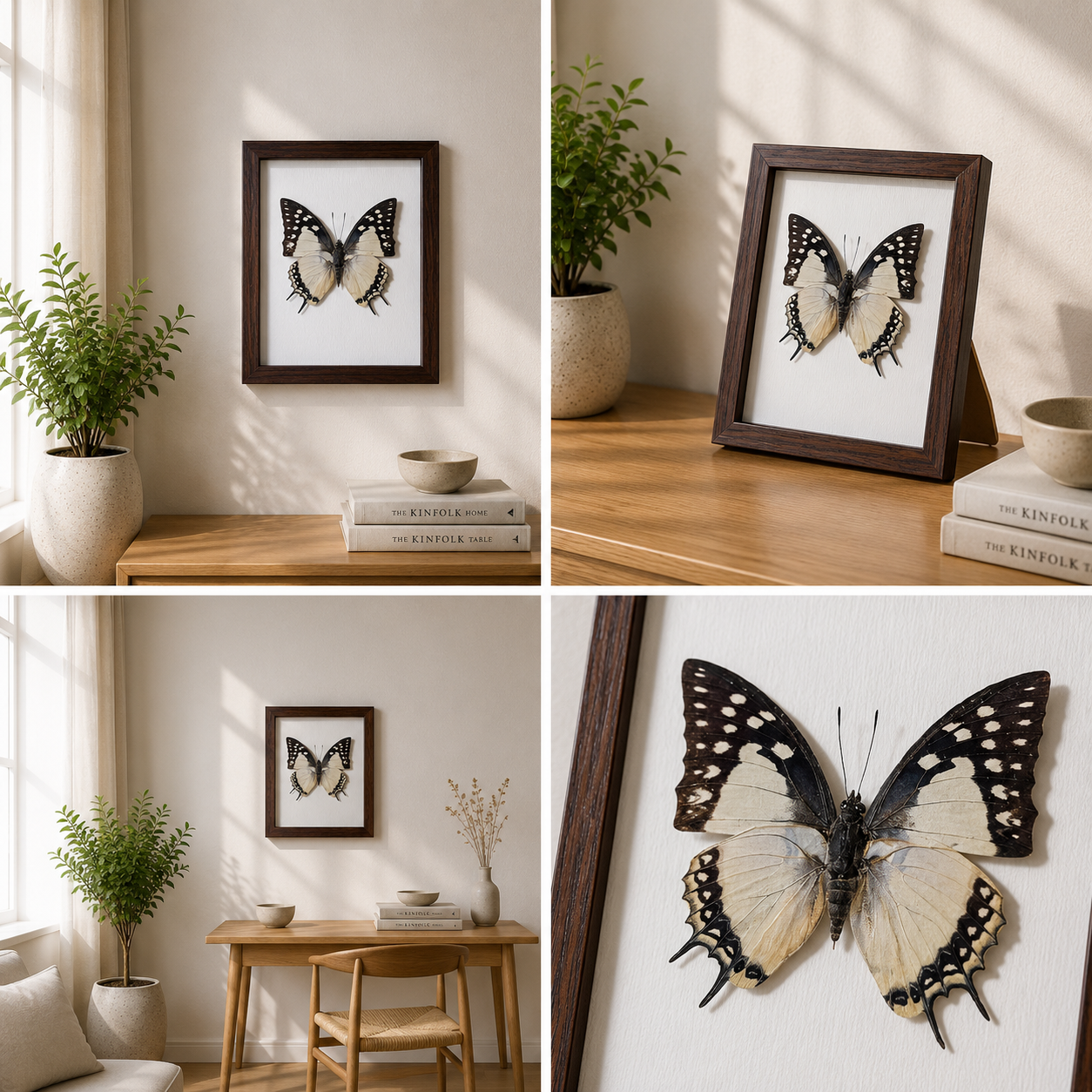 Polyura eudamippus Handmade Butterfly Specimen Frame Nordic Minimalist Home Decor