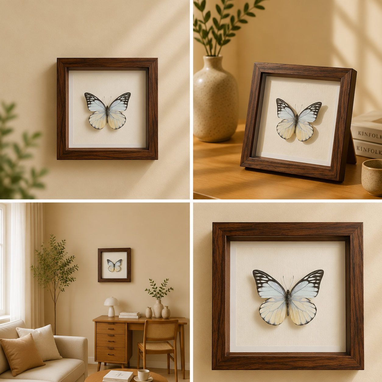 Prioneris thestylis Handmade Butterfly Specimen Frame Nordic Minimalist Home Decor