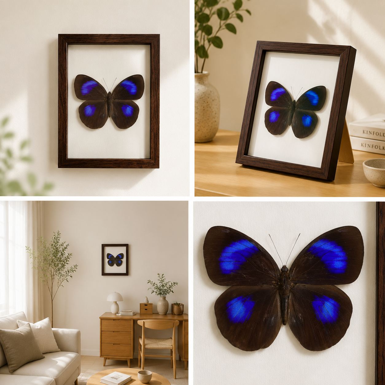 Thaumantis diores Handmade Butterfly Specimen Frame Nordic Minimalist Home Decor