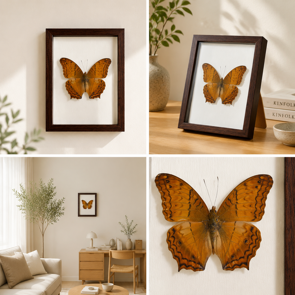 Vindula erota Handmade Butterfly Specimen Frame Nordic Minimalist Home Decor