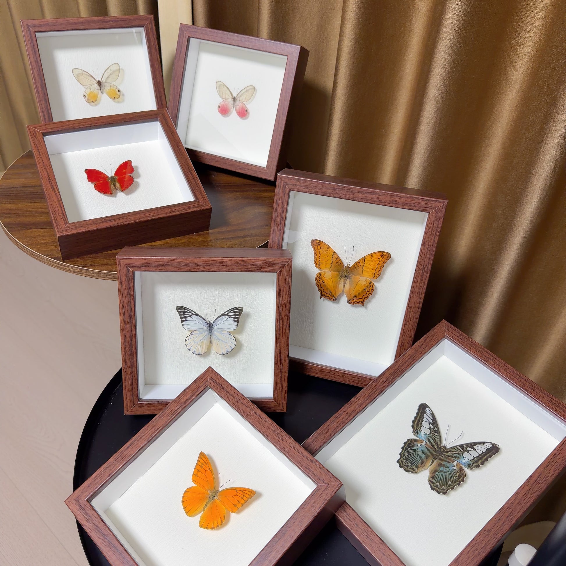 Handmade Butterfly Specimen Wood Frame