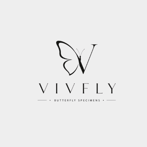 vivfly butterfly specimen frame logo